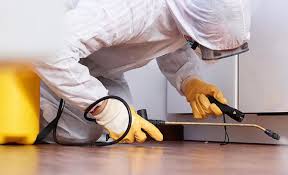 Best Pest Prevention Services  in Emory, TX